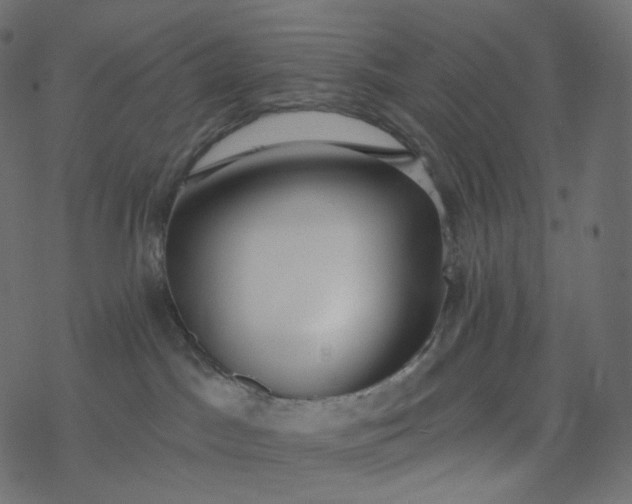 X0000077400045200611032037