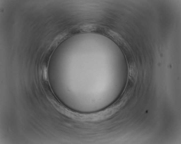 X0000077400046200611032037