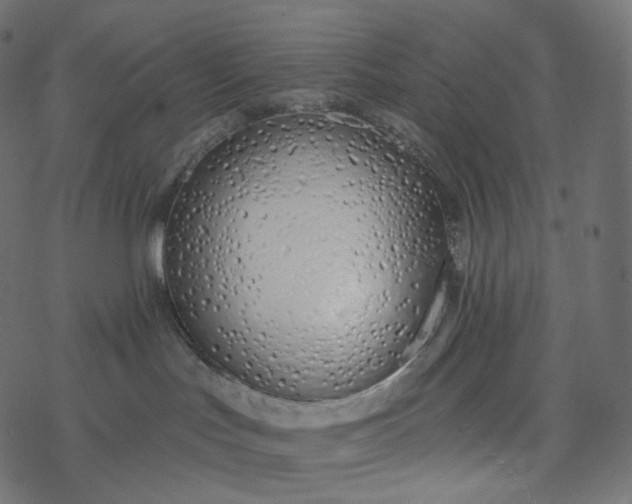 X0000077400047200611032037