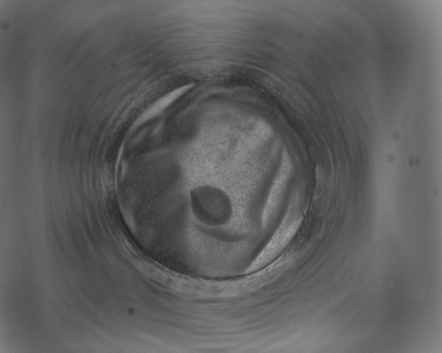 X0000077400048200611032037