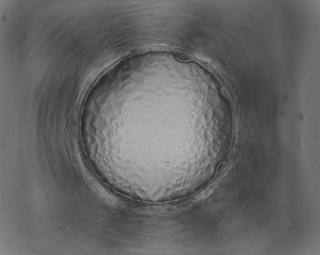 X0000077400049200611032036