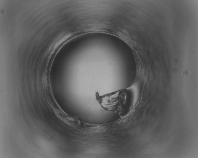 X0000077400050200611032037