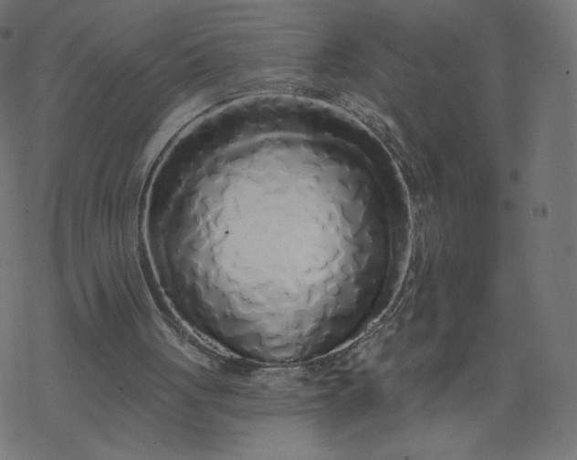 X0000077400051200611032037