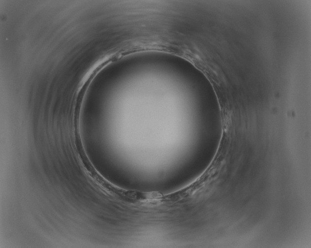 X0000077400052200611032037