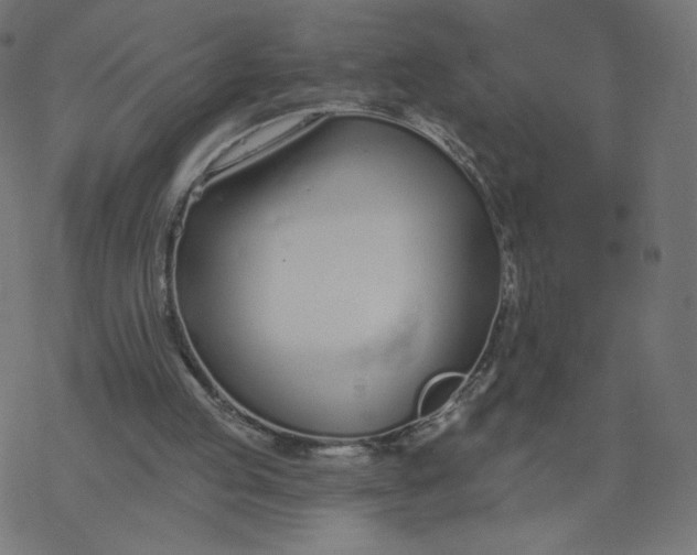 X0000077400053200611032037