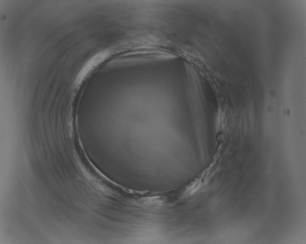 X0000077400054200611032037