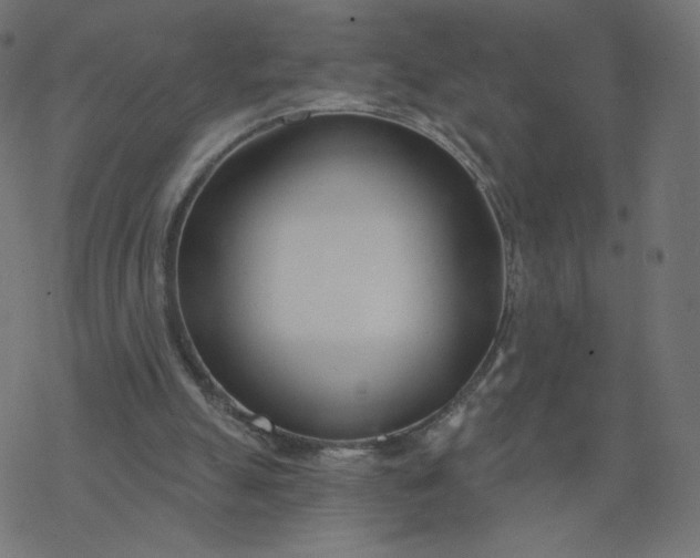 X0000077400055200611032037