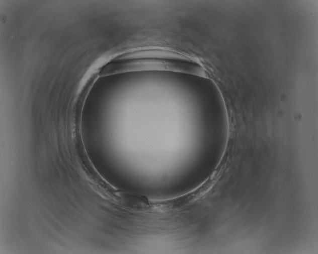 X0000077400056200611032037