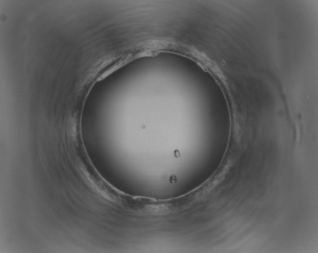 X0000077400057200611032037