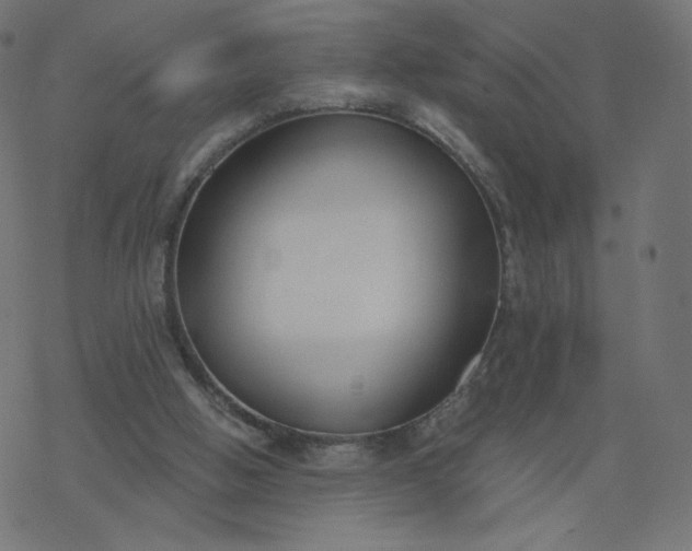 X0000077400058200611032037