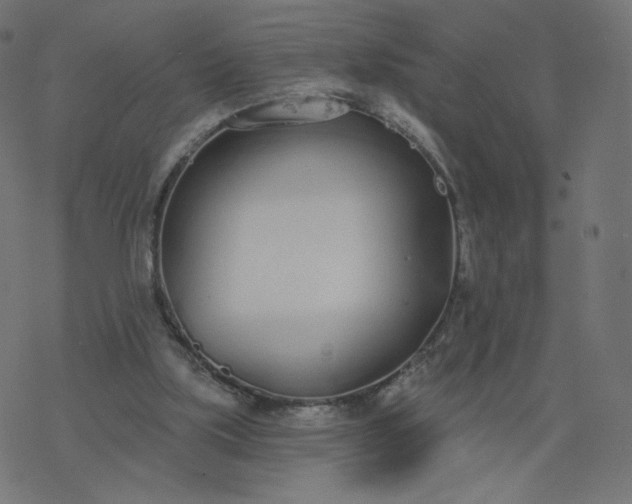 X0000077400059200611032037