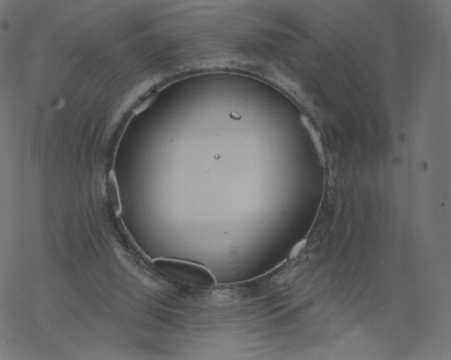 X0000077400060200611032037