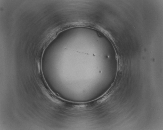 X0000077400061200611032037