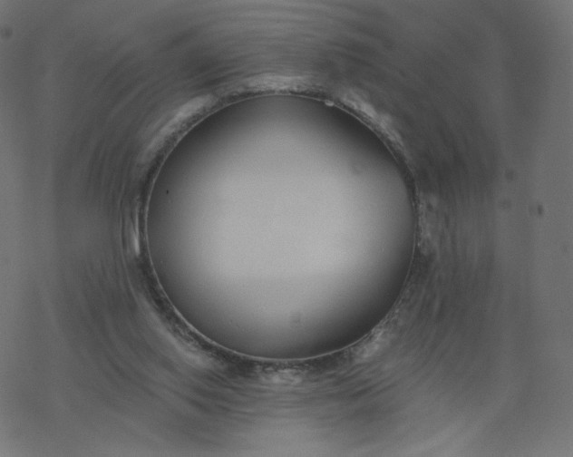 X0000077400062200611032037