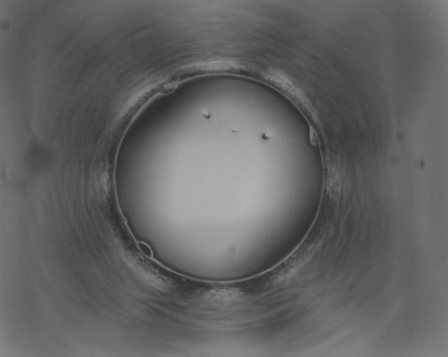 X0000077400063200611032037