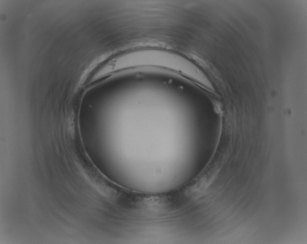 X0000077400064200611032037