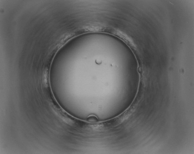 X0000077400065200611032037