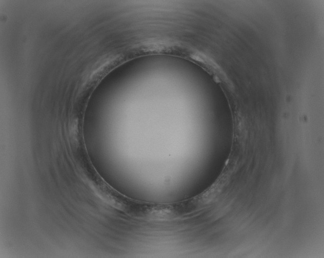 X0000077400066200611032037