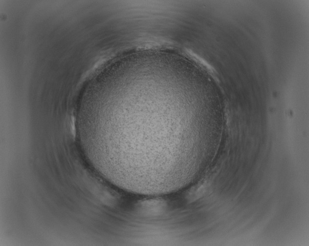 X0000077400067200611032037