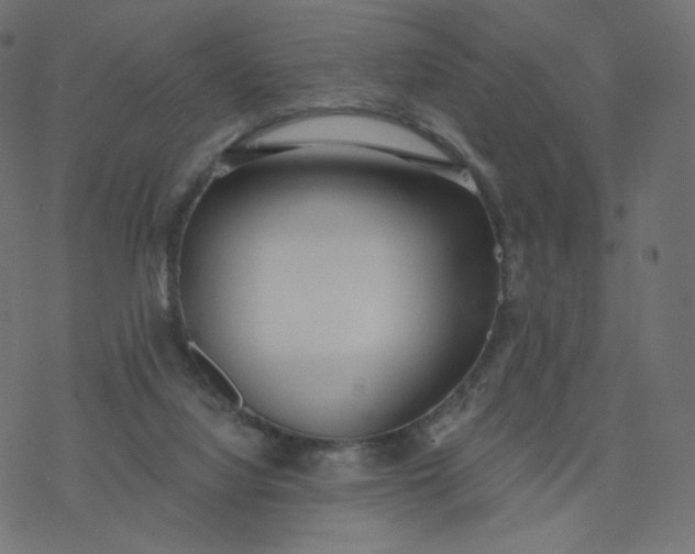 X0000077400068200611032037