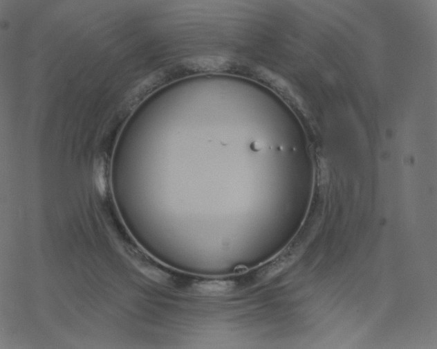 X0000077400069200611032037