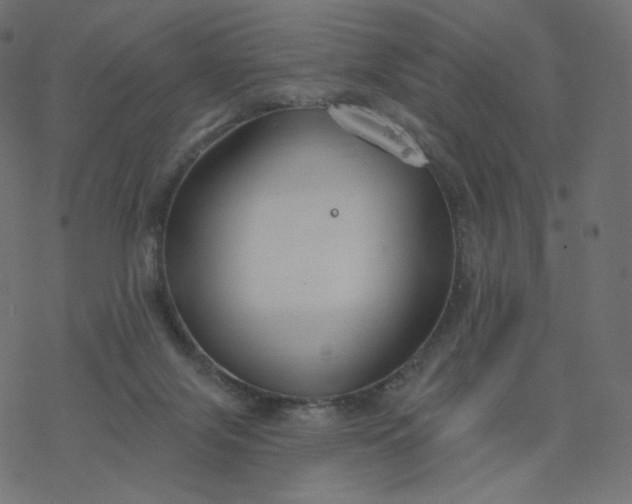 X0000077400071200611032037