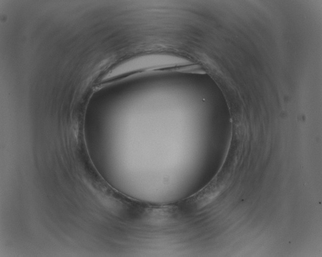 X0000077400072200611032037