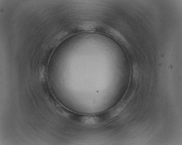 X0000077400073200611032037