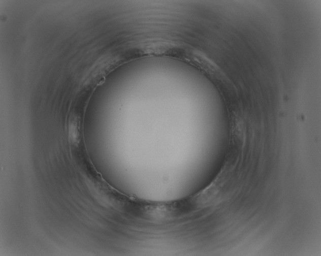 X0000077400074200611032037