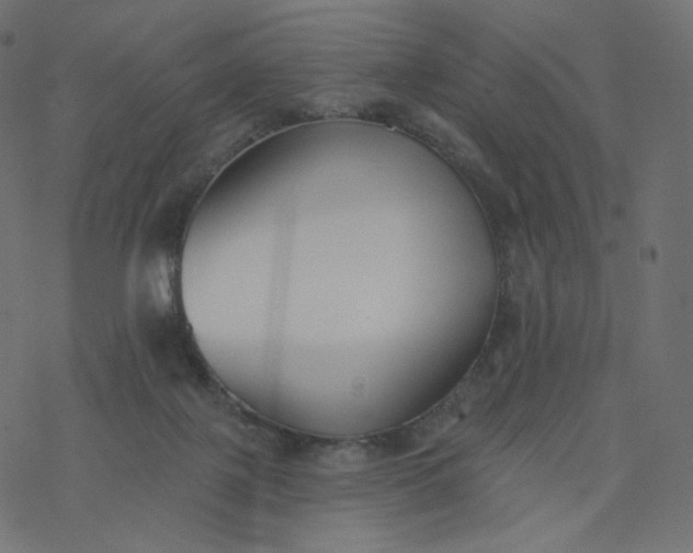 X0000077400075200611032037