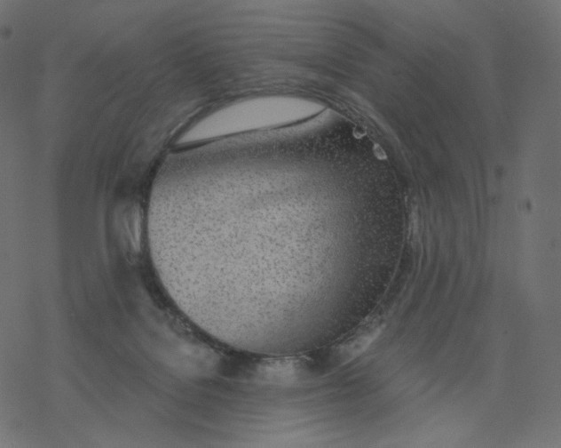 X0000077400076200611032037