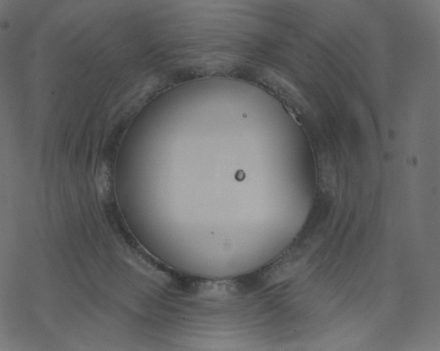 X0000077400077200611032037