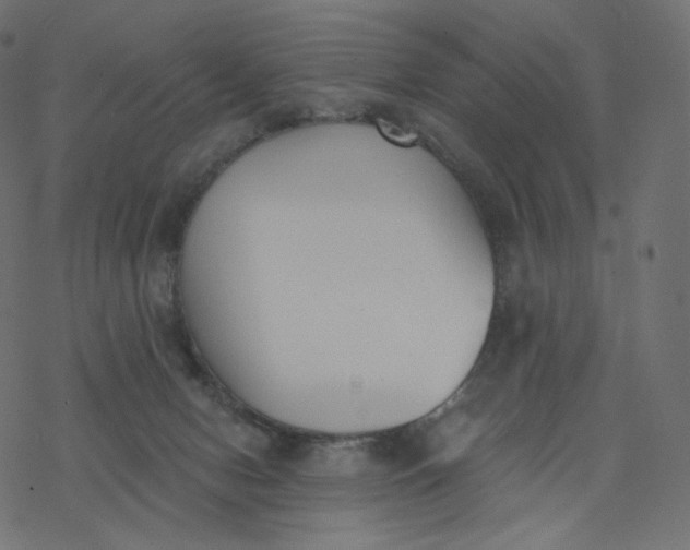 X0000077400078200611032037