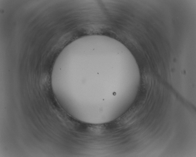 X0000077400079200611032037