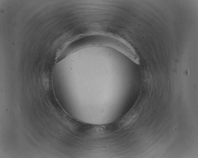 X0000077400080200611032037