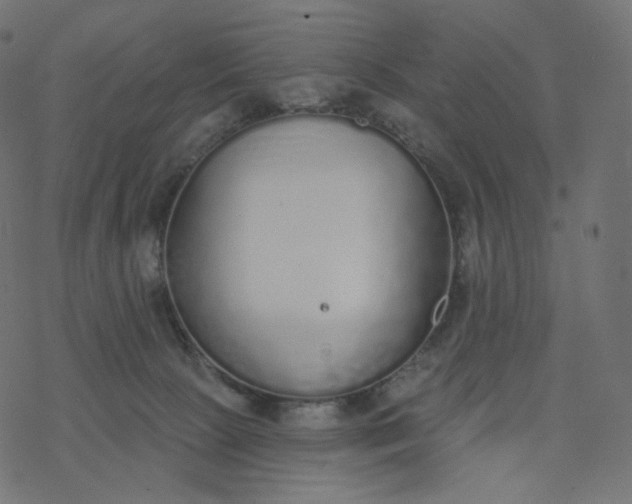 X0000077400081200611032037