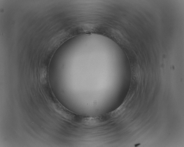 X0000077400082200611032037