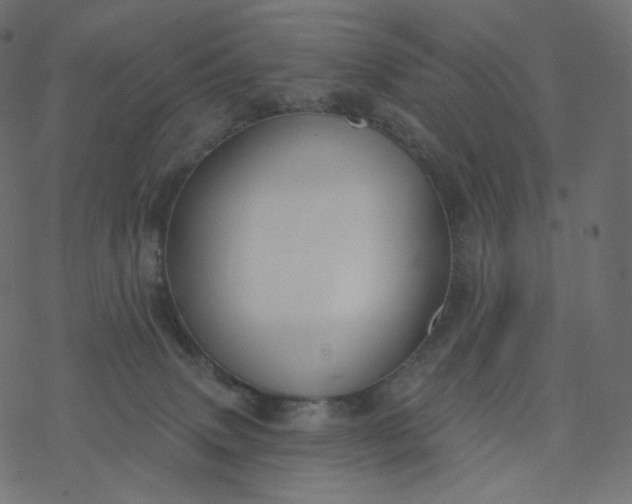 X0000077400083200611032037