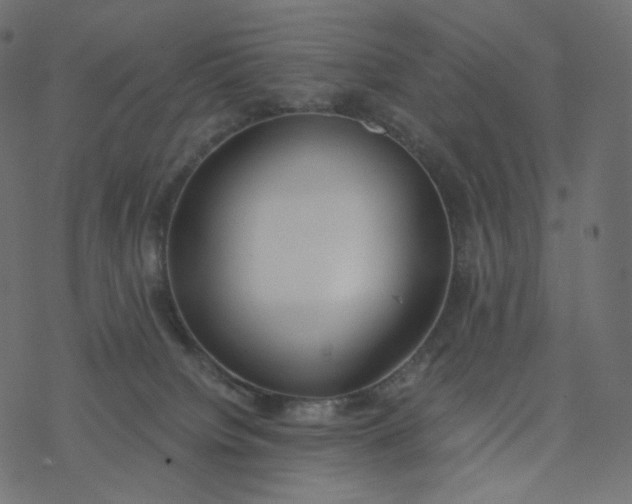 X0000077400084200611032037