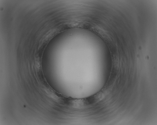 X0000077400085200611032037