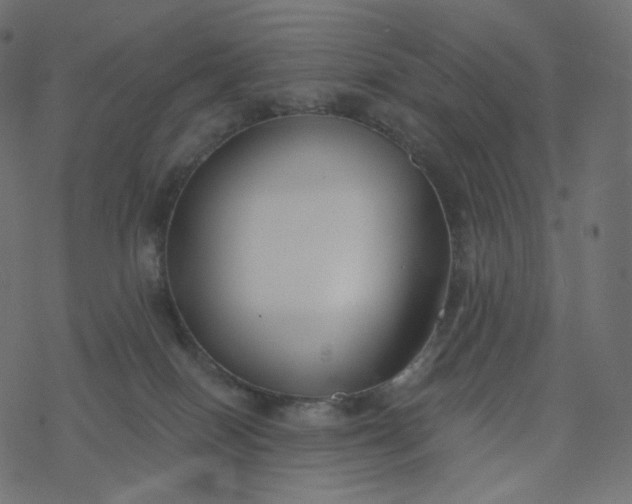 X0000077400086200611032037