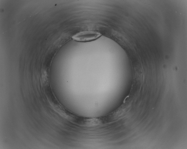 X0000077400087200611032037