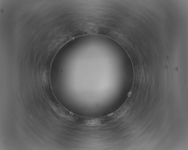 X0000077400088200611032037