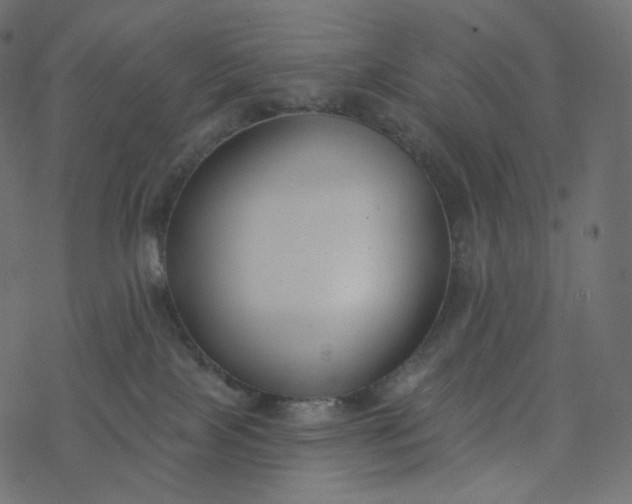 X0000077400089200611032037