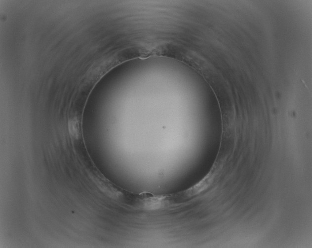 X0000077400090200611032037