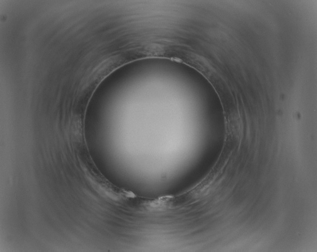 X0000077400092200611032037