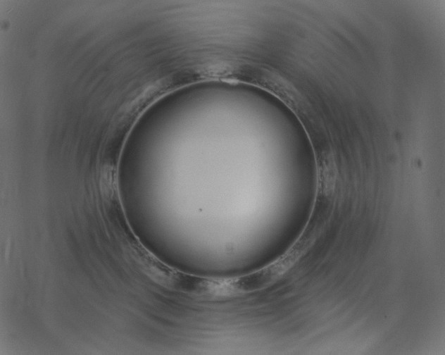 X0000077400093200611032037