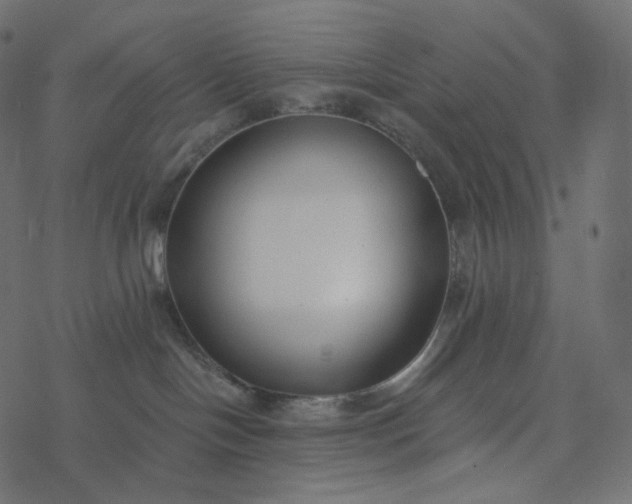 X0000077400094200611032037