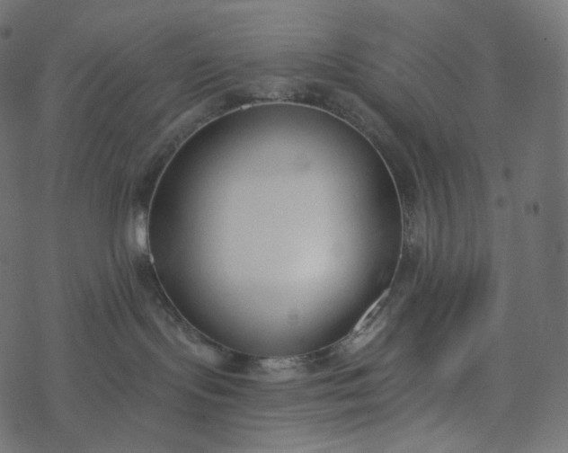 X0000077400095200611032037