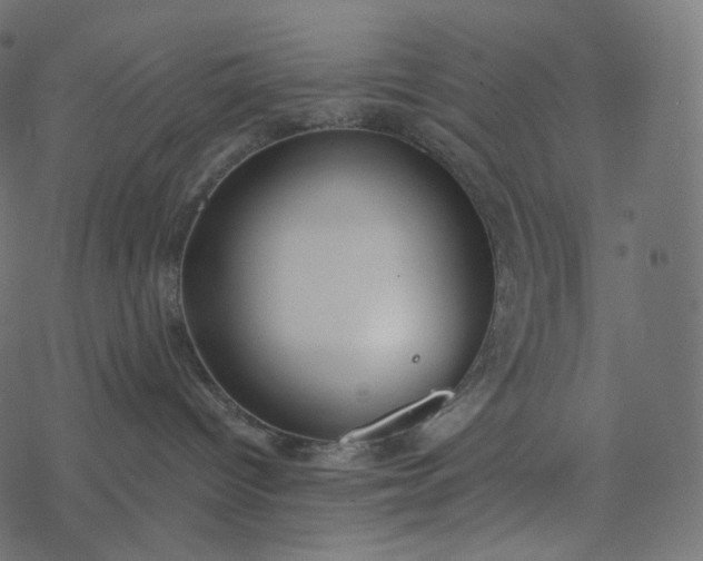 X0000077400096200611032037